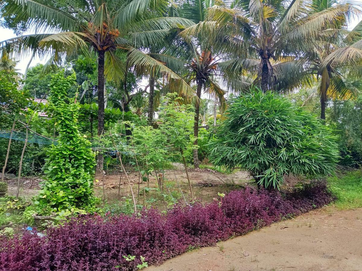 Marari Bethsaida Homestay Shertallai Exterior photo